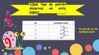 • El patrón es de
multiplicación
x3
x3
x3
108
¿Qué tipo de patrón
observas en esta
tabla?
 