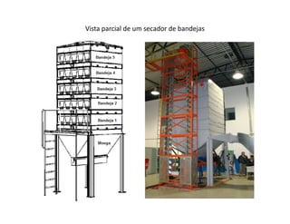 Vista parcial de um secador de bandejas
 