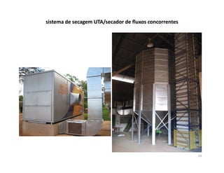 sistema de secagem UTA/secador de fluxos concorrentes




                                                        29
 