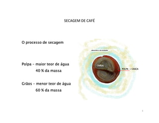 SECAGEM DE CAFÉ




O processo de secagem




Polpa – maior teor de água                GRÃOS
                                                  POLPA + CASCA
       40 % da massa


Grãos – menor teor de água
       60 % da massa




                                                                  3
 