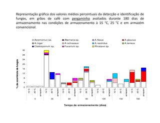 Representação gráfica dos valores médios percentuais da detecção e identificação de
 fungos, em grãos de café com pergaminho avaliados durante 180 dias de
 armazenamento nas condições de armazenamento à 15 °C, 25 °C e em armazém
 convencional.


                                          Acremoniun sp.                                     Alternaria sp.                                 A. flavus                                   A. glaucus
                                          A. niger                                           A. ochraceus                                   A. restrictus                               A. terreus
                                          Cladosporium sp.                                   Fusarium sp.                                   Rhizopus sp.
                            32

                            28

                            24
% de ocorrência de fungos




                            20

                            16

                            12

                            8

                            4

                            0
                                                 armazém




                                                                           armazém




                                                                                                        armazém




                                                                                                                                  armazém




                                                                                                                                                              armazém




                                                                                                                                                                                        armazém




                                                                                                                                                                                                                  armazém
                                     C


                                             C




                                                               C

                                                                       C




                                                                                         C


                                                                                                    C




                                                                                                                      C


                                                                                                                              C




                                                                                                                                                  C

                                                                                                                                                          C




                                                                                                                                                                            C


                                                                                                                                                                                    C




                                                                                                                                                                                                      C

                                                                                                                                                                                                              C
                                 15 °


                                         25 °




                                                           15 °

                                                                   25 °




                                                                                     15 °


                                                                                                25 °




                                                                                                                  15 °


                                                                                                                          25 °




                                                                                                                                              15 °

                                                                                                                                                      25 °




                                                                                                                                                                        15 °


                                                                                                                                                                                25 °




                                                                                                                                                                                                  15 °

                                                                                                                                                                                                          25 °
                                          0                        30                           60                        90                          120                       150                       180


                                                                                         Tempo de armazenamento (dias)
 
