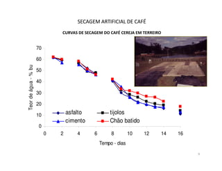 SECAGEM ARTIFICIAL DE CAFÉ
                               CURVAS DE SECAGEM DO CAFÉ CEREJA EM TERREIRO


                      70

                      60
Teor de água - % bu




                      50

                      40

                      30

                      20

                      10           asfalto           tijolos
                                   cimento           Chão batido
                      0
                           0   2       4     6        8         10   12       14   16
                                                 Tempo - dias

                                                                                        9
 