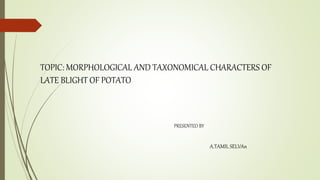 PRESENTED BY
A.TAMIL SELVAn
TOPIC: MORPHOLOGICAL AND TAXONOMICAL CHARACTERS OF
LATE BLIGHT OF POTATO
 