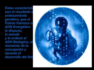 Estas características, son el resultado del ordenamiento genético, que el Patrón Kármico o  ADN Energético  le dispuso,  le mandó  y le ordenó al  ADN Biológico, al  momento de la  concepción y  durante el  desarrollo del feto.   