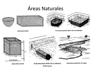 Áreas Naturales 
 