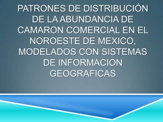 PATRONES DE DISTRIBUCIÓN
   DE LA ABUNDANCIA DE
CAMARON COMERCIAL EN EL
  NOROESTE DE MEXICO,
MODELADOS CON SISTEMAS
     DE INFORMACION
       GEOGRAFICAS
 