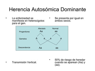 Herencia Autosómica Dominante
•    La enfermedad se                    •     Se presenta por igual en
     manifiesta en heterocigotos               ambos sexos.
     para el gen.
                              Afectado       Normal
           Progenitores        Aa              aa


           Gametos        A         a    a            a


          Descendencia        Aa                aa




                                         •     50% de riesgo de heredar
•    Transmisión Vertical.                     cuando se aparean (Aa) y
                                               (aa).
 