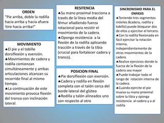 RESITENCIA                  SINCRONISMO PARA EL
            ORDEN                 Su mano proximal tracciona a                   ENFASIS
“Pie arriba, doble la rodilla   través de la línea media del          Teniendo tres segmentos
hacia arriba y hacia afuera     fémur añadiendo fuerza              móviles 8cadera, rodilla y
!tire hacia arriba!”            rotacional para resistir el         tobillo) puede bloquear dos
                                                                    de ellos y ejercitar el tercero.
                                movimiento de la cadera.
                                                                      Con la rodilla flexionada en
                                  Oponga resistencia a la           fácil ejercitar la rotación
         MOVIMIENTO             flexión de la rodilla aplicando     interna,
  El pie y el tobillo           tracción a través de la tibia       independientemente de
dorsiflexión y eversión.        (crucial para fortalecer cadera y   otros movimientos de la
  Movimientos de cadera y       tronco).                            cadera.
                                                                      Realice ejercicios donde la
rodilla comienzan                                                   fuerza de la flexión de la
simultáneamente y ambas                                             cadera sea mayor
                                        POSICION FINAL
articulaciones alcanzan su                                            Puede trabajar todo el
                                  Pie dorsiflexión con eversión.
recorrido final al mismo                                            rango de rotación interna de
                                  Cadera y rodilla en flexión
tiempo.                                                             la cadera.
                                completa con el talón cerca del       Cuando ejercite el pie
  La continuación de este
                                borde lateral del glúteo            mueva su mano proximal
movimiento provoca flexión
                                  Rodilla y talón alineados uno     sobre la tibia y oponga
del tronco con inclinación
                                con respecto al otro                resistencia al cadera y a al
lateral.                                                            rodilla
 