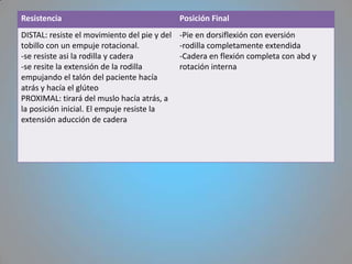 Resistencia                                   Posición Final
DISTAL: resiste el movimiento del pie y del   -Pie en dorsiflexión con eversión
tobillo con un empuje rotacional.             -rodilla completamente extendida
-se resiste asi la rodilla y cadera           -Cadera en flexión completa con abd y
-se resite la extensión de la rodilla         rotación interna
empujando el talón del paciente hacía
atrás y hacía el glúteo
PROXIMAL: tirará del muslo hacía atrás, a
la posición inicial. El empuje resiste la
extensión aducción de cadera
 