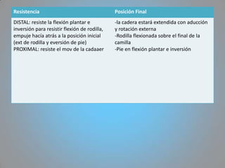Resistencia                                   Posición Final
DISTAL: resiste la flexión plantar e          -la cadera estará extendida con aducción
inversión para resistir flexión de rodilla,   y rotación externa
empuje hacía atrás a la posición inicial      -Rodilla flexionada sobre el final de la
(ext de rodilla y eversión de pie)            camilla
PROXIMAL: resiste el mov de la cadaaer        -Pie en flexión plantar e inversión
 