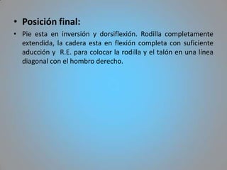 • Posición final:
• Pie esta en inversión y dorsiflexión. Rodilla completamente
  extendida, la cadera esta en flexión completa con suficiente
  aducción y R.E. para colocar la rodilla y el talón en una línea
  diagonal con el hombro derecho.
 