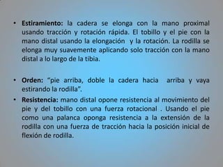 • Estiramiento: la cadera se elonga con la mano proximal
  usando tracción y rotación rápida. El tobillo y el pie con la
  mano distal usando la elongación y la rotación. La rodilla se
  elonga muy suavemente aplicando solo tracción con la mano
  distal a lo largo de la tibia.

• Orden: “pie arriba, doble la cadera hacia arriba y vaya
  estirando la rodilla”.
• Resistencia: mano distal opone resistencia al movimiento del
  pie y del tobillo con una fuerza rotacional . Usando el pie
  como una palanca oponga resistencia a la extensión de la
  rodilla con una fuerza de tracción hacia la posición inicial de
  flexión de rodilla.
 