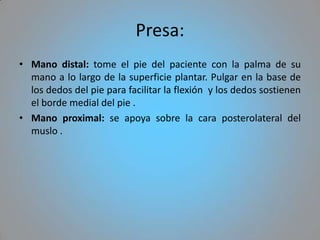 Presa:
• Mano distal: tome el pie del paciente con la palma de su
  mano a lo largo de la superficie plantar. Pulgar en la base de
  los dedos del pie para facilitar la flexión y los dedos sostienen
  el borde medial del pie .
• Mano proximal: se apoya sobre la cara posterolateral del
  muslo .
 