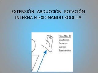 EXTENSIÓN- ABDUCCIÓN- ROTACIÓN
 INTERNA FLEXIONANDO RODILLA
 