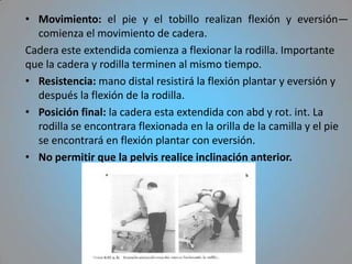 • Movimiento: el pie y el tobillo realizan flexión y eversión—
  comienza el movimiento de cadera.
Cadera este extendida comienza a flexionar la rodilla. Importante
que la cadera y rodilla terminen al mismo tiempo.
• Resistencia: mano distal resistirá la flexión plantar y eversión y
  después la flexión de la rodilla.
• Posición final: la cadera esta extendida con abd y rot. int. La
  rodilla se encontrara flexionada en la orilla de la camilla y el pie
  se encontrará en flexión plantar con eversión.
• No permitir que la pelvis realice inclinación anterior.
 