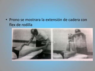 • Prono se mostrara la extensión de cadera con
  flex de rodilla
 