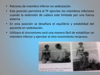 • Patrones de miembro inferior en sedestación
• Esta posición permitirá al TF ejercitar los miembros inferiores
  cuando la extensión de cadera este limitada por una fuerza
  externa
• En esta posición se desafiara el equilibrio y estabilidad del
  paciente en sedestación.
• Utilizara el sincronismo será una manera fácil de estabilizar un
  miembro inferior y ejercitar el otro movimiento reciproco.
 