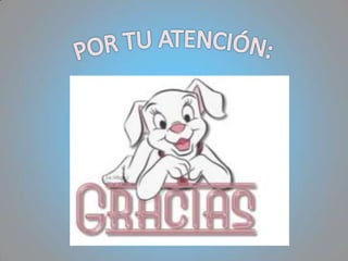 Patrones de miembro inferior