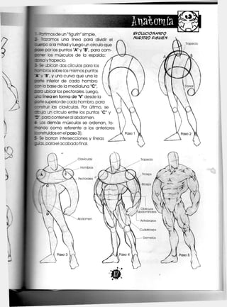 ^_
-nos de un "figurín" simple,
""czamos una línea para dividir e
eroo a la mitad y luego un círculo que
se zo los puntos "A" y "B", para com-
r
e -
os músculos de la espalda:
se y trapecio,
ie -oican dos círculos para los
- e o s sobre los mismos puntos
B , y una curva que una la
~e nferior de cada hombro
- c case de la medialuna "C",
c -oicar los pectorales. Luego,
: nea en forma de "V" desde la
~e superior de cada hombro, para
Tstruir las clavículas. Por último, se
<_c un círculo entre los puntos "C" y
cara conteneral abdomen.
demás músculos se ordenan, fo-
ndo como referente a los anteriores
rsrruidos en el paso 3).
5e borran intersecciones y líneas
as, para el acabado final,
Clavículas
Hombros
Pectorales
ZVOLUCIONANPO
NUESTRO Í16URÍN
Abdomen
 