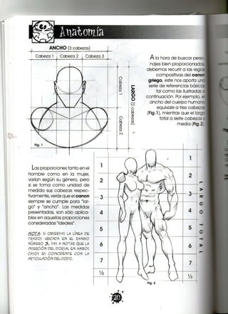 A N C H O (3 cabezas)
Cabeza 1 ¡ Cabeza 2 i Cabeza 3
Las proporciones tanto en el
hombre como en la mujer,
varían según su género, pero
si se toma como unidad de
medida sus cabezas respec-
tivamente,verásqueelcanon
siempre se cumple para "lar-
go" y "ancho". Las medidas
presentadas, son sólo aplica-
bies en aquellas proporciones
consideradas "ideales".
A la hora de buscar perso-
najes bien proporcionada^
debemos recurrir a las reaes
compositivas del canc-
griego, este nosaporta una
serie de referencias básíc::
tal como las ilustrados :
continuación. Por ejemplo, a
ancho del cuerpo humane
equivale a tres cabezas
(Fig.l), mientras que el largo
total a siete cabez
media (Fig,
 