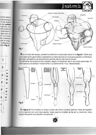 , Esterno-Cleido-Mastoideo
S; o a modo de repaso, prestemos atención a estos ejemplos; En la figura 1, fijate que
: oca elemento geométrico representa un área donde los músculos quedan contenidos,
eemplo: el trapecio yel dorsal se encuentran dentro del mismo círculo,
lefiamente las proporciones variarán según el desarrollo físico de cada personaje. En
ere caso es uno de tipo "mesomórflco" (y ciertamente "muy" desarrollado).
La figura 2 nos muestra un paso a paso de cómo construir piernas. Trata de repetirlo
como ejercicio en una hoja aparte, hasta que su modelo se fije en tu memoria. Estoy
seguro de que te va a resultar muy sencillo,.. I
 