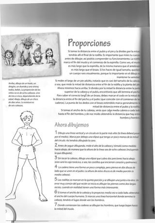 Proporciones
Arriba, dibujo de un hada, un
dragón, un duende y una sirena;
todos, bebés. La proporción de los
niños no es de ocho cabezas, sino
de tres a cinco, dependiendo de la
edad. Abajo, dibujo de un chico
de diez años. La estatura es
de seis cabezas.
Si tomas la distancia entre el pubis y el pie y la divides por la m'
tendrás allí el final de la rodilla. Es importante que mires tu cu
antes de dibujar, así podrás comprender su funcionamiento. La rodít
marca el fin del muslo y el comienzo de la espinilla. C o m o ves, el mus
es más largo que la espinilla, de la misma manera que el a n t e b r
es más largo que el brazo. Si los haces de igual tamaño, q u e c ;
un cuerpo raro visualmente, porque lo importante en el dibujo i
mantener la varieca
Si mides el largo de un pie adulto, notarás que es casi del tamaño de la caber
o sea, que mide la mitad de distancia entre el fin de la rodilla y la planta del I
Ahora miremos hacia arriba. Si divides por la mitad la distancia entre la p a -
superior de la cabeza y el pubis, encontrarás que allí termina el p
Para saber el correcto largó de un brazo, debes marcar el codo en la mitad
la distancia entre el fin del pecho y el pubis (que coincide con el comienzo de
caderas). La punta de los dedos con el brazo extendido marca generalmente
mitad de distancia entre el pubis y la r o d í " 1
Si tomas el ancho de tu cabeza, verás que cabe media cabeza a cada I
hasta el fin del hombro, y de ese m o d o obtendrás la distancia que hay e r . .
hombro y h o m :
Ahora dibujemos
1 Dibuja una línea vertical y un círculo en la parte más alta (la línea deberá pas&
por el medio). Marca por debajo una elipse que tenga un poco menos de la mito:
del círculo. Así tendrás dibujada la cara.
2 Antes de seguir dibujando, mide el alto de la cabeza y tómalo como medida
hacia abajo, de manera que la altura de la línea sea de ocho cabezas (incluyeno:
la que dibujaste).
5 Sin tocar la cabeza, dibuja una elipse que cubra dos porciones hacia abajo
(esto será la caja torácica, o sea, las costillas que encierran corazón y pulmones
4 La cadera tiene una forma un poco compleja, pero piensa en dos discos de
lado que se unen en el pubis. La altura de estos discos es de media porción (o
media cabeza).
5 Las rodillas se marcan en la quinta porción y se dibujan una junto a la otra. _
error muy común del que recién se inicia es dibujar las piernas como dos largas
rectas, cuando en realidad tienen una forma más interesante.
6 Si tomas el ancho de la cabeza y lo proyectas media vez a cada lado, obter
el ancho del cuerpo humano. Si marcas una línea horizontal donde termina la
cabeza, tendrás el lugar donde van los hombros.
7 Donde comienzan las caderas se dibujan los hombros, que luego bajan hasts
la mitad del muslo.
 