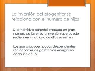 La inversión del progenitor se
relaciona con el numero de hijos
Si el individuo parental produce un gran
numero de jóvenes la inversión que puede
realizar en cada uno de ellos es mínima.
Los que producen pocos descendientes
son capaces de gastar mas energía en
cada individuo.
 