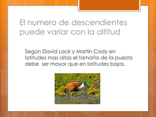 El numero de descendientes
puede variar con la altitud
Según David Lack y Martin Cody en
latitudes mas altas el tamaño de la puesta
debe ser mayor que en latitudes bajas.
 