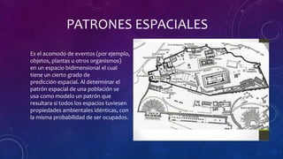 PATRONES ESPACIALES
Es el acomodo de eventos (por ejemplo,
objetos, plantas u otros organismos)
en un espacio bidimensional el cual
tiene un cierto grado de
predicción espacial. Al determinar el
patrón espacial de una población se
usa como modelo un patrón que
resultara si todos los espacios tuviesen
propiedades ambientales idénticas, con
la misma probabilidad de ser ocupados.
 