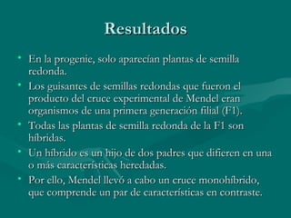 Resultados En la progenie, solo aparecían plantas de semilla redonda.  Los guisantes de semillas redondas que fueron el producto del cruce experimental de Mendel eran organismos de una primera generación filial (F1). Todas las plantas de semilla redonda de la F1 son híbridas.  Un híbrido es un hijo de dos padres que difieren en una o más características heredadas.  Por ello, Mendel llevó a cabo un cruce monohíbrido, que comprende un par de características en contraste. 
