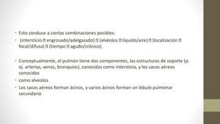 • Esto conduce a ciertas combinaciones posibles:
• (intersticio engrosado/adelgazado) (alvéolos líquido/aire) (localización
focal/difusa) (tiempo agudo/crónico).
• Conceptualmente, el pulmón tiene dos componentes, las estructuras de soporte (p.
ej. arterias, venas, bronquios), conocidas como intersticio, y los sacos aéreos
conocidos
• como alveolos.
• Los sacos aéreos forman ácinos, y varios ácinos forman un lóbulo pulmonar
secundario
 