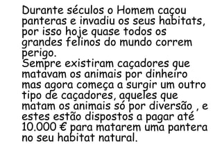 Durante séculos o Homem caçou
panteras e invadiu os seus habitats,
por isso hoje quase todos os
grandes felinos do mundo correm
perigo.
Sempre existiram caçadores que
matavam os animais por dinheiro
mas agora começa a surgir um outro
tipo de caçadores, aqueles que
matam os animais só por diversão , e
estes estão dispostos a pagar até
10.000 € para matarem uma pantera
no seu habitat natural.
 