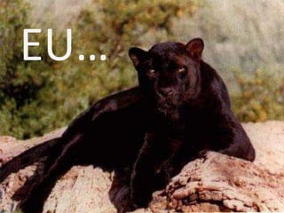 EU…
 