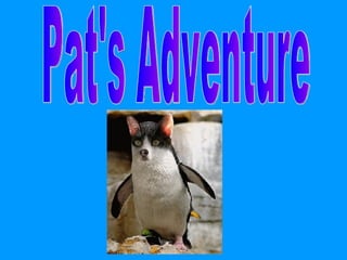 Pat's Adventure 