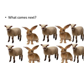 What comes next?