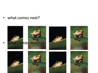  what comes next? what comes next?What comes next?