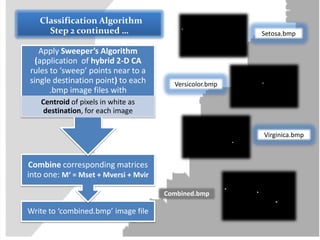 Sweeper Classification Pattern classification | PPTX