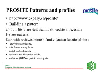 Prosite Pattern Example patterndat.pdf