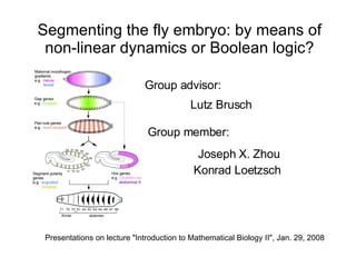 Segmenting the fly embryo: by means of non-linear dynamics or Boolean logic? Joseph X. Zhou Konrad Loetzsch  Presentations on lecture &quot;Introduction to Mathematical Biology II&quot;, Jan. 2 9 , 2008 Group advisor: Group member: Lutz Brusch 