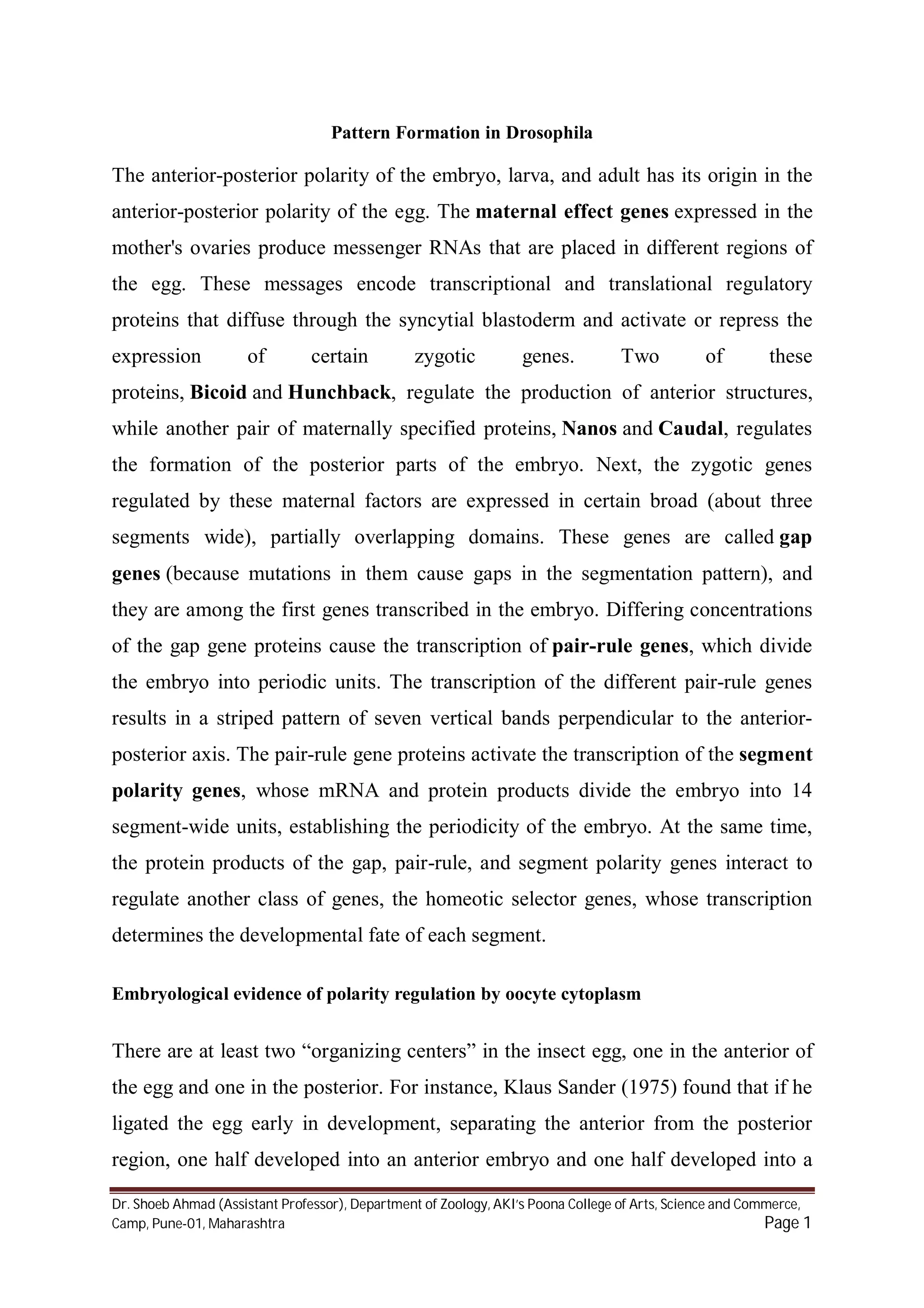 Pattern formation in drosophila PDF