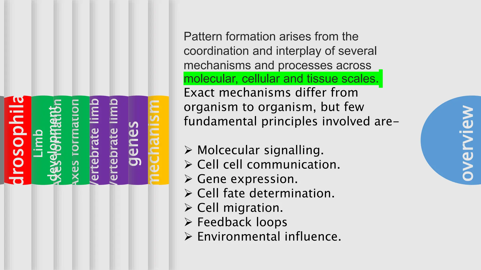 Pattern formation | PPTX