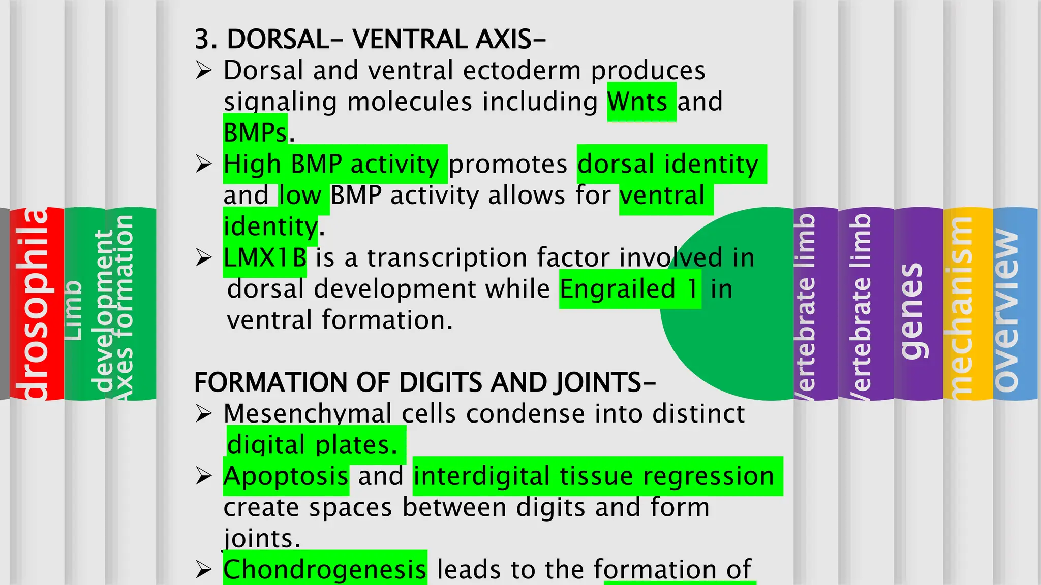 Pattern formation | PPTX