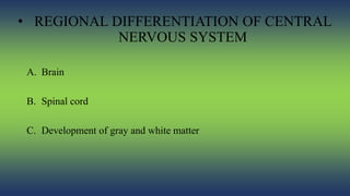 Pattern generation in the nervous system | PPTX