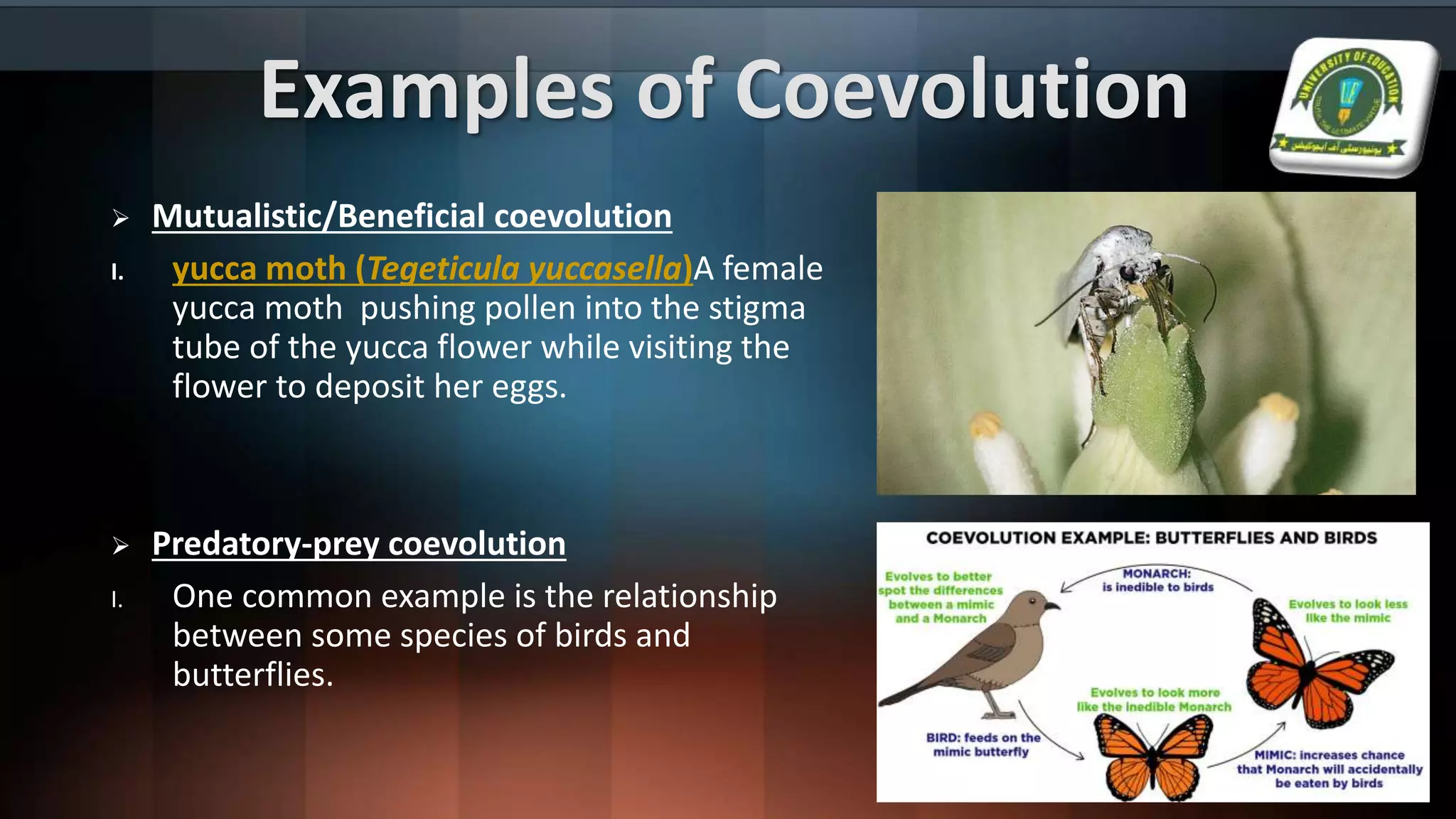 Examples of Coevolution
 Mutualistic/Beneficial coevolution
I. yucca moth (Tegeticula yuccasella)A female
yucca moth pushing pollen into the stigma
tube of the yucca flower while visiting the
flower to deposit her eggs.
 Predatory-prey coevolution
I. One common example is the relationship
between some species of birds and
butterflies.
 