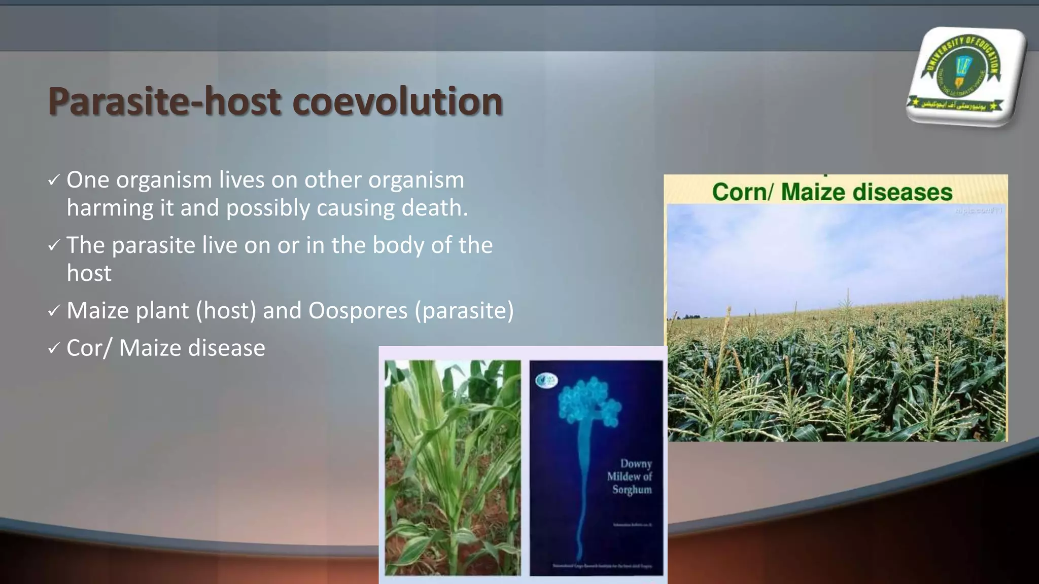 Parasite-host coevolution
 One organism lives on other organism
harming it and possibly causing death.
 The parasite live on or in the body of the
host
 Maize plant (host) and Oospores (parasite)
 Cor/ Maize disease
 