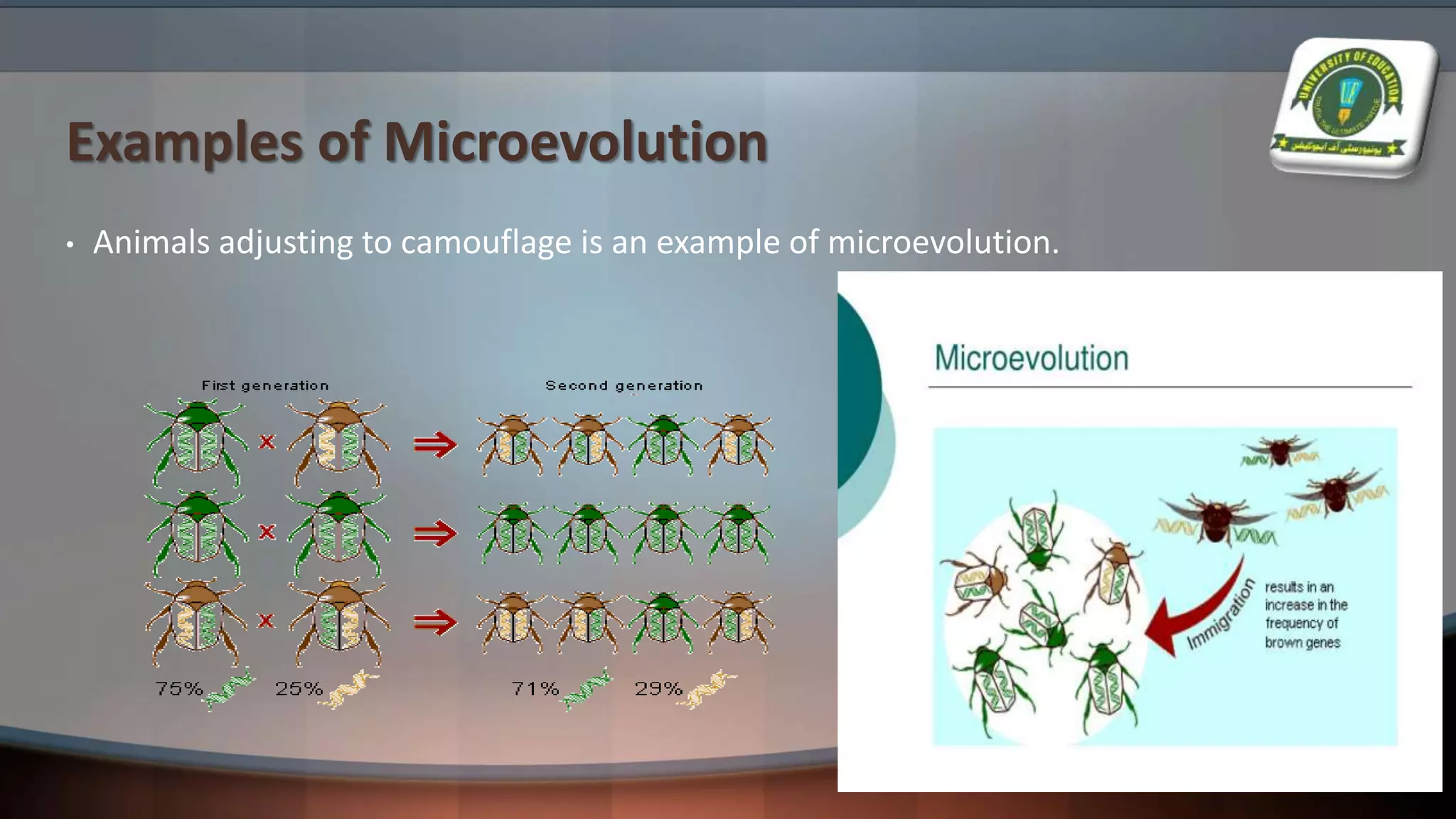 Examples of Microevolution
• Animals adjusting to camouflage is an example of microevolution.
 