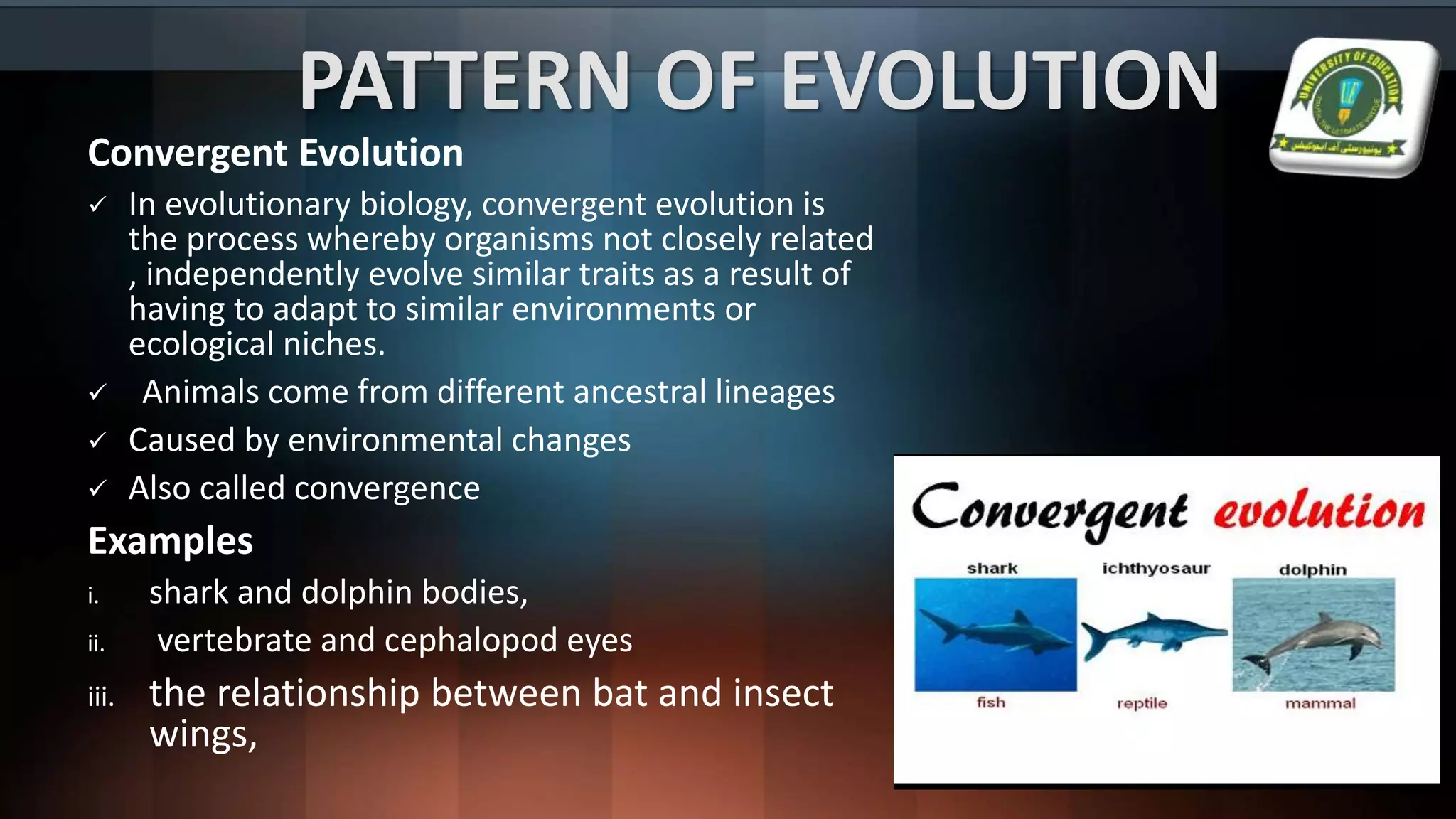PATTERN OF EVOLUTION
Convergent Evolution
 In evolutionary biology, convergent evolution is
the process whereby organisms not closely related
, independently evolve similar traits as a result of
having to adapt to similar environments or
ecological niches.
 Animals come from different ancestral lineages
 Caused by environmental changes
 Also called convergence
Examples
i. shark and dolphin bodies,
ii. vertebrate and cephalopod eyes
iii. the relationship between bat and insect
wings,
 