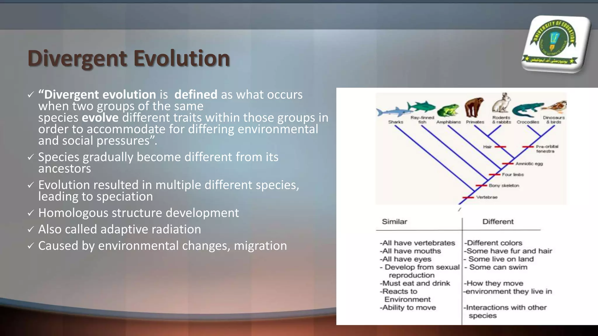 Divergent Evolution
 “Divergent evolution is defined as what occurs
when two groups of the same
species evolve different traits within those groups in
order to accommodate for differing environmental
and social pressures”.
 Species gradually become different from its
ancestors
 Evolution resulted in multiple different species,
leading to speciation
 Homologous structure development
 Also called adaptive radiation
 Caused by environmental changes, migration
 