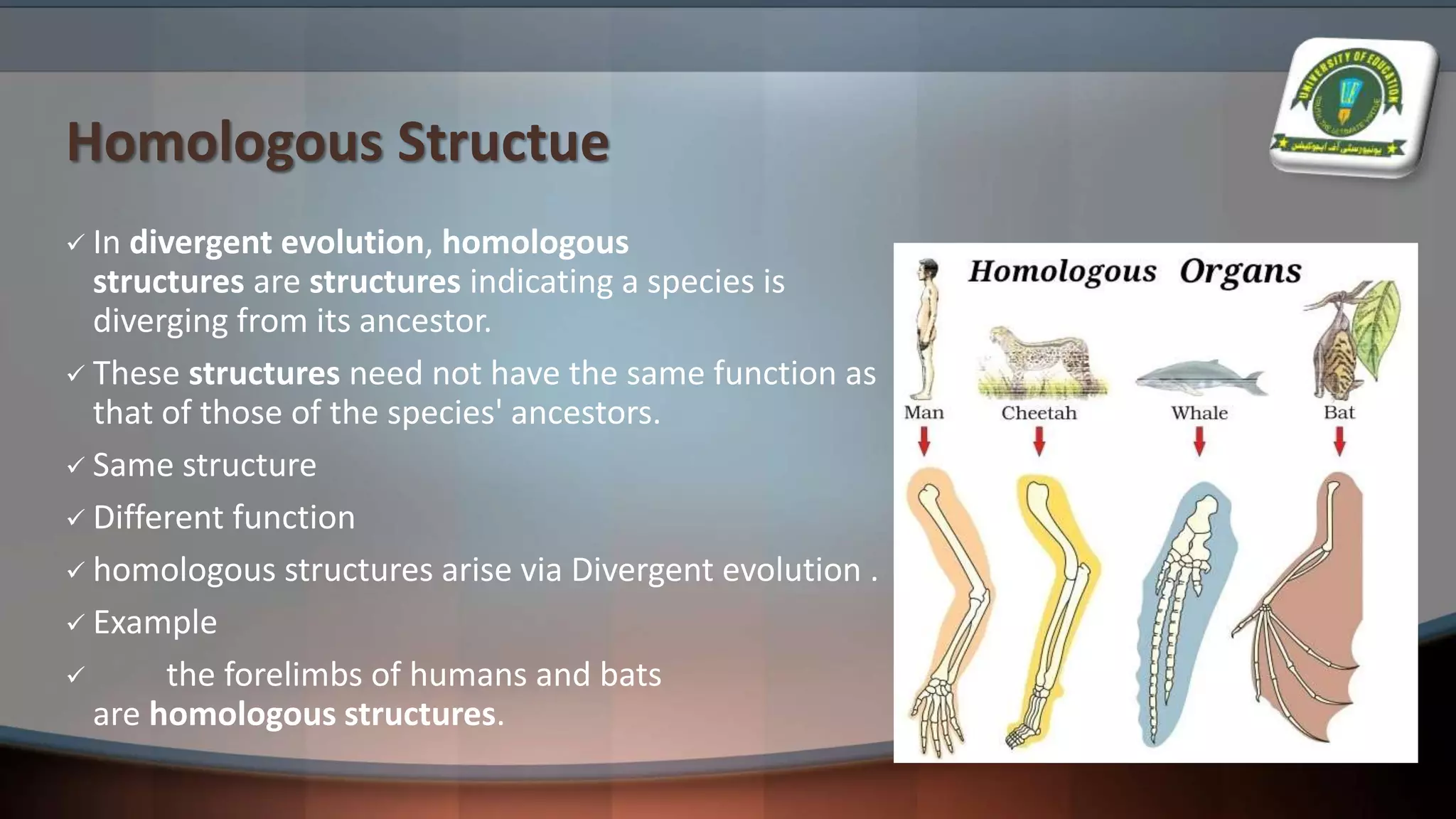 Homologous Structue
 In divergent evolution, homologous
structures are structures indicating a species is
diverging from its ancestor.
 These structures need not have the same function as
that of those of the species' ancestors.
 Same structure
 Different function
 homologous structures arise via Divergent evolution .
 Example
 the forelimbs of humans and bats
are homologous structures.
 