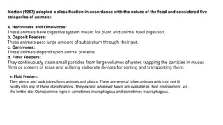 Picture Idea: Pattern Of Feeding And Digestion In Invertebrates Pg I Pptx
